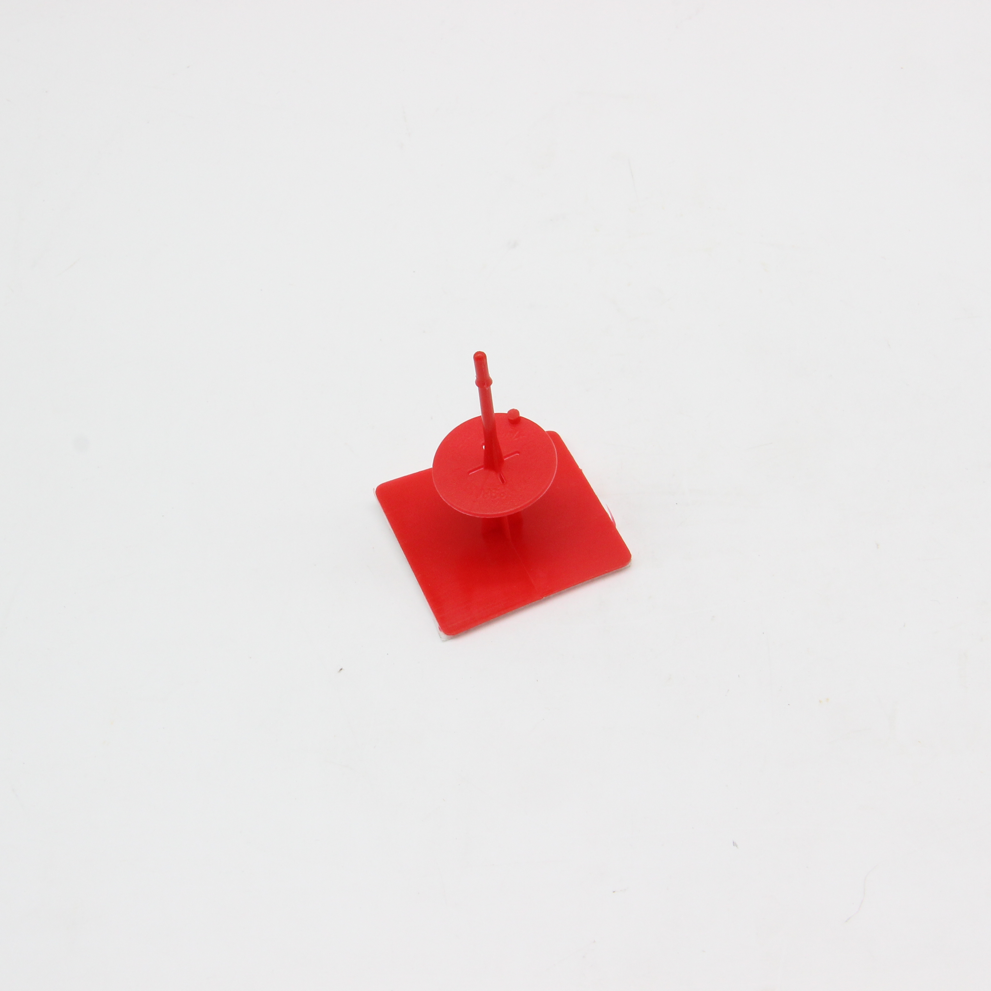 Plastic label holder