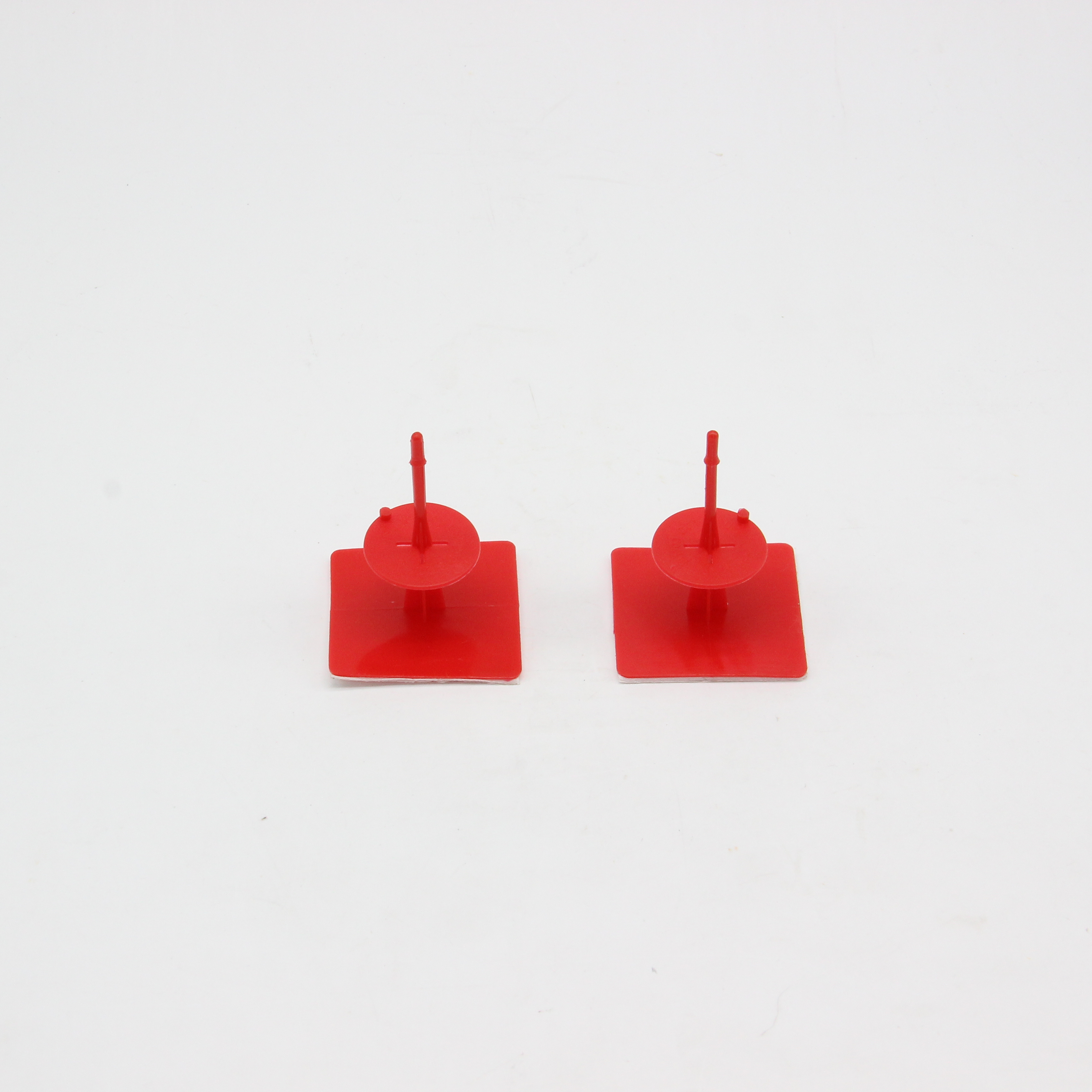 Plastic label holder